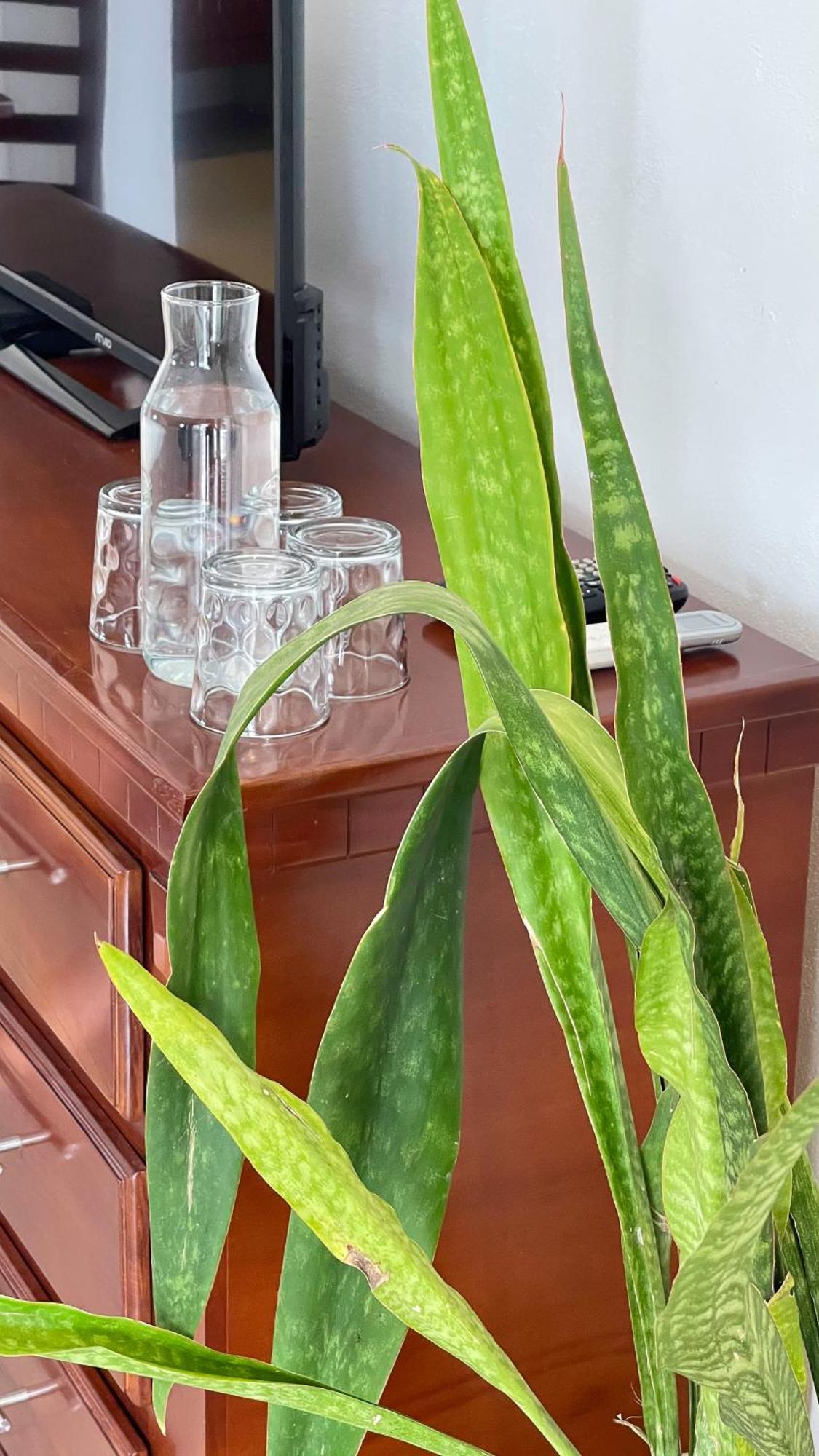 Quinta Alberto Boutique Hotel Сан Блас Екстериор снимка
