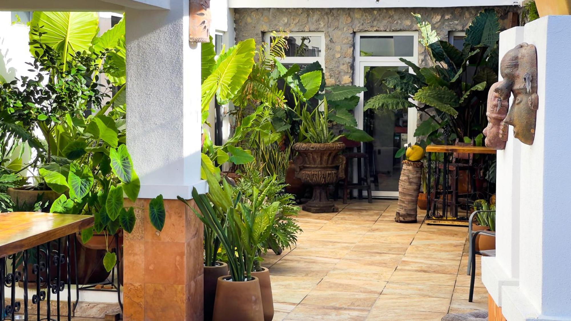 Quinta Alberto Boutique Hotel Сан Блас Екстериор снимка